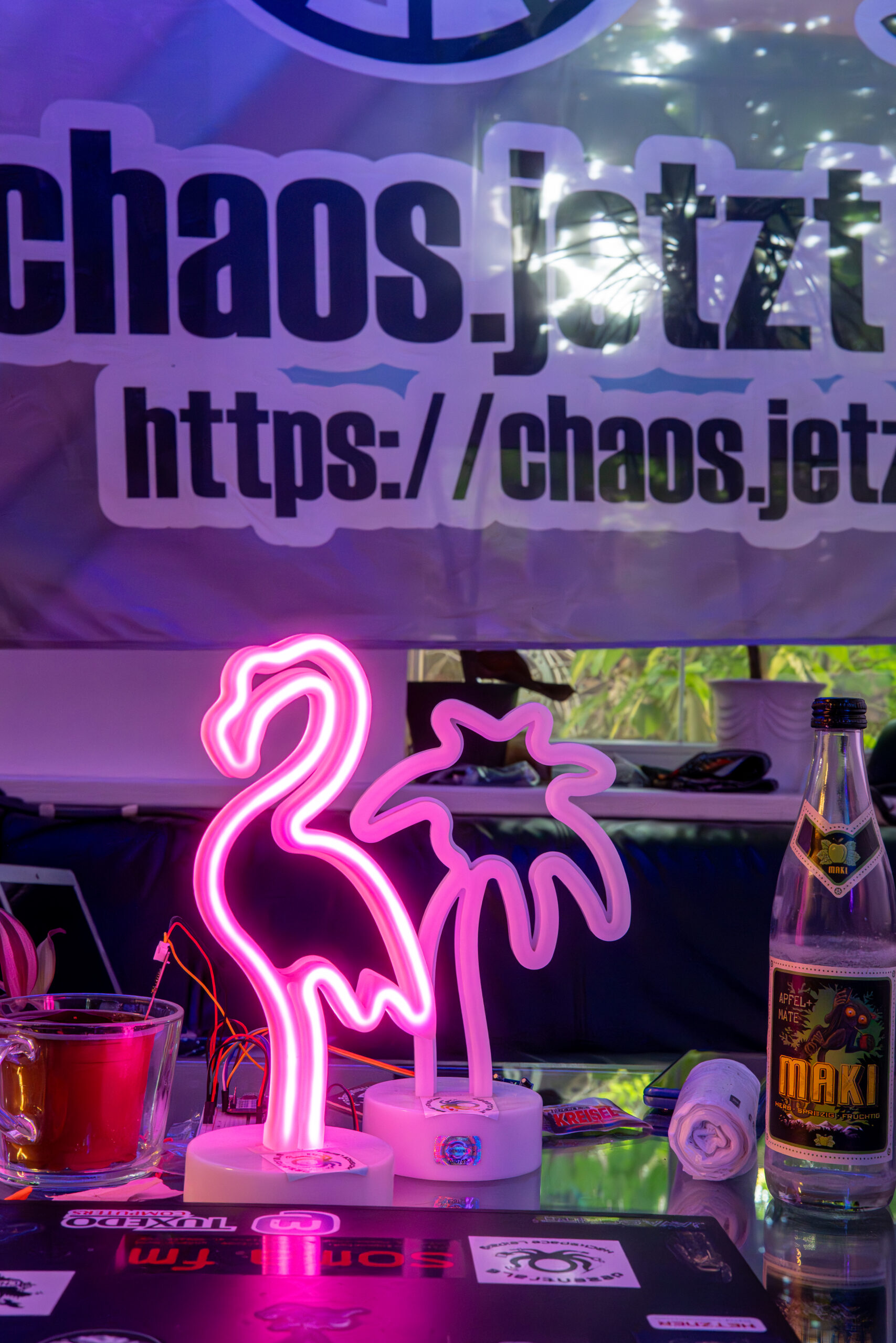 Chaos