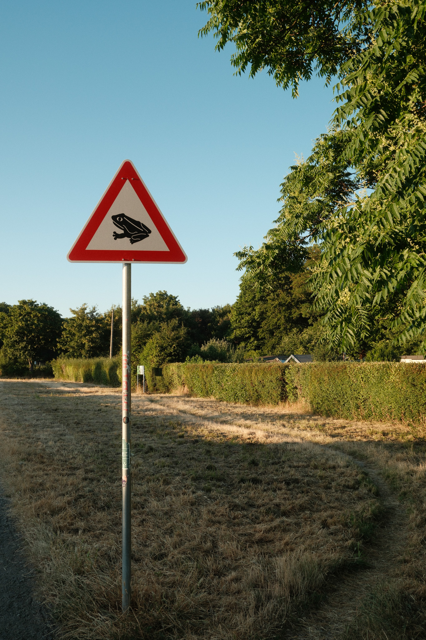 Froschwanderung